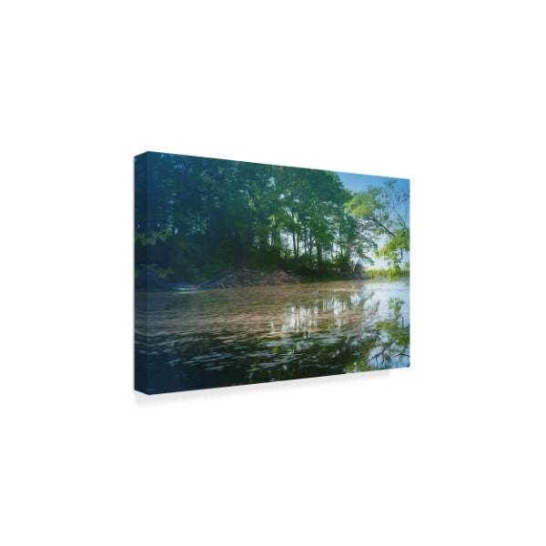 Anthony Paladino 'Early Moring Light On Swamp' Canvas Art,12x19